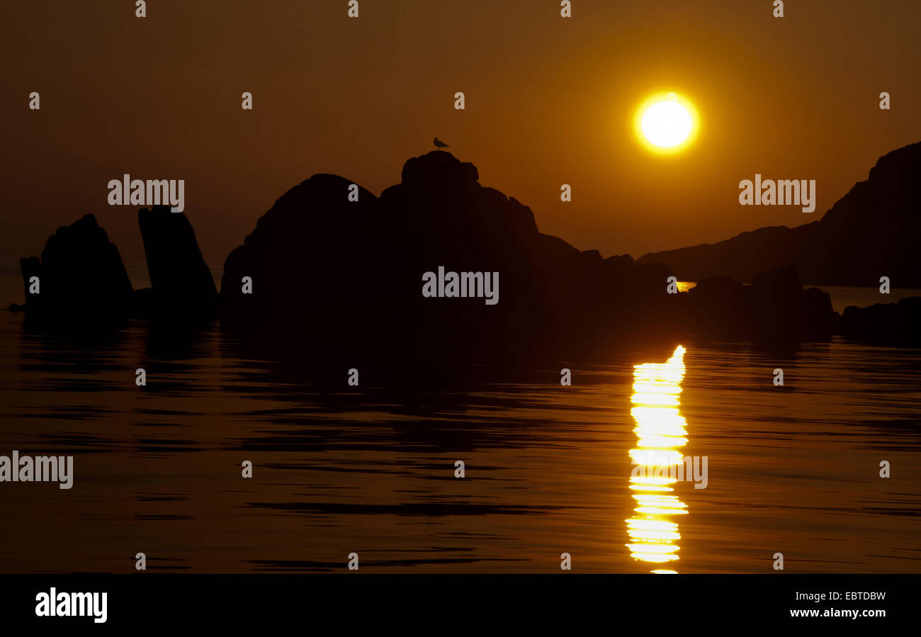 sunset at the coast, Norway, Vest-Agder, Hidra Stock Photo