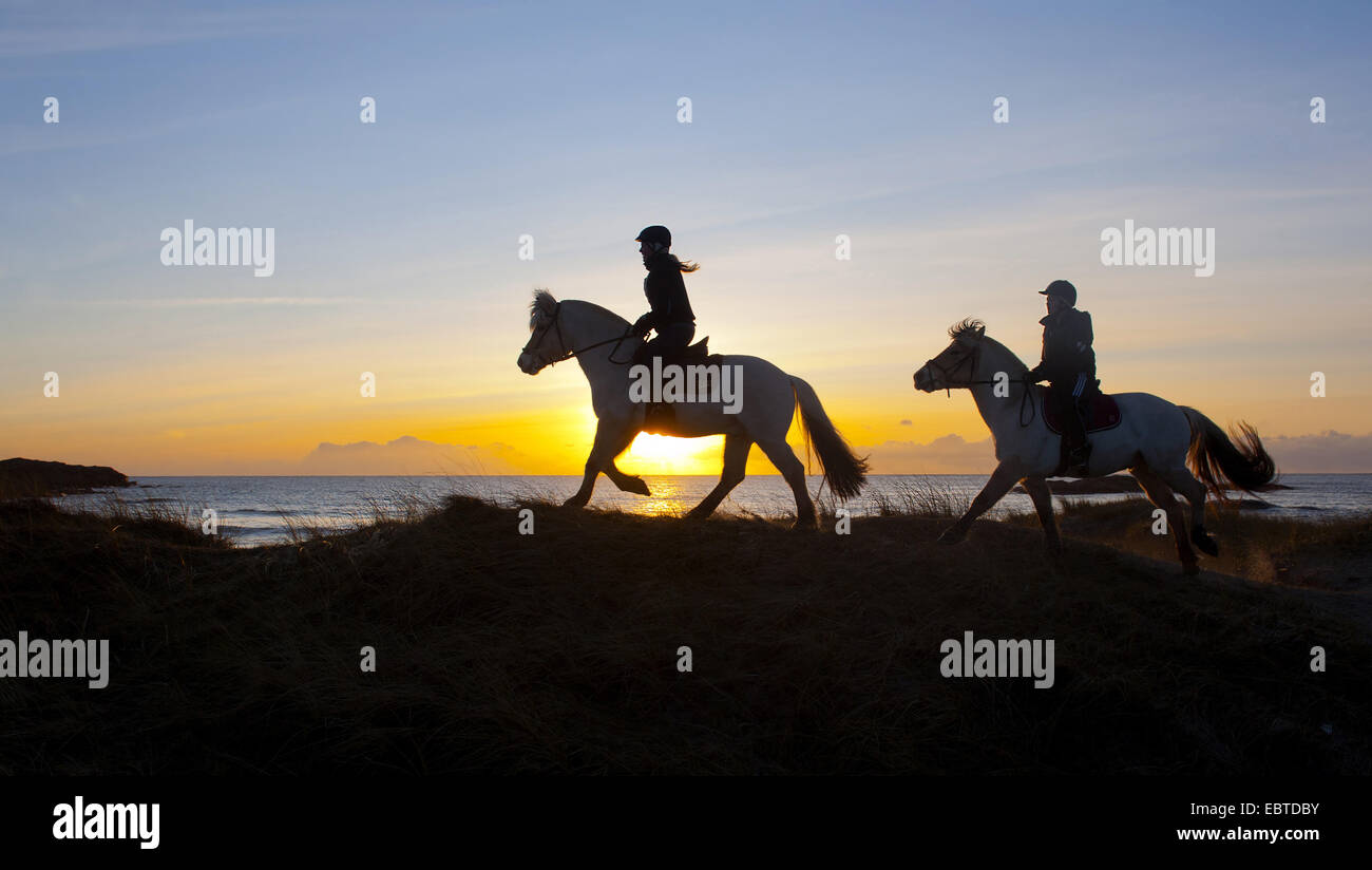 domestic horse (Equus przewalskii f. caballus), silhouettes of two riders at the Havikstrand in Lista in front of the sunset, Norway, Vest-Agder, Farsund Stock Photo