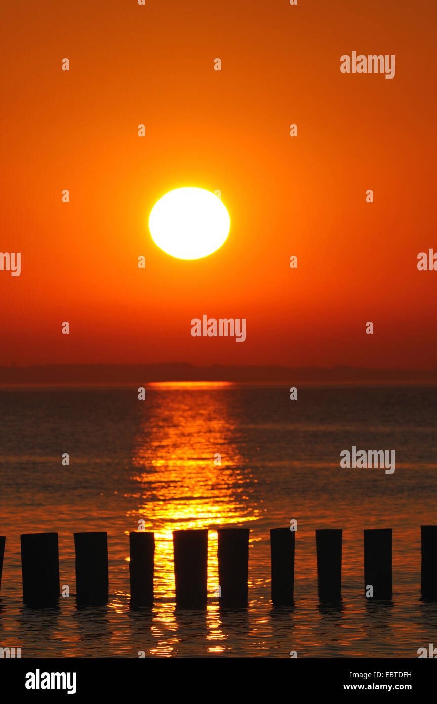 groyne in sunset, Germany, Mecklenburg-Western Pomerania Stock Photo