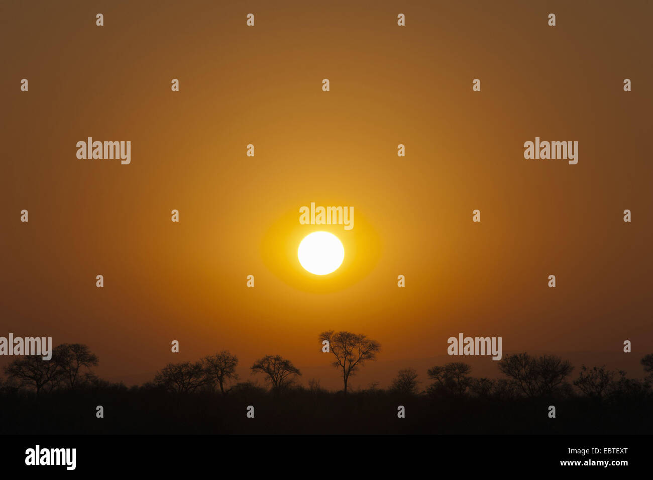 African savannah sunset hi-res stock photography and images - Alamy