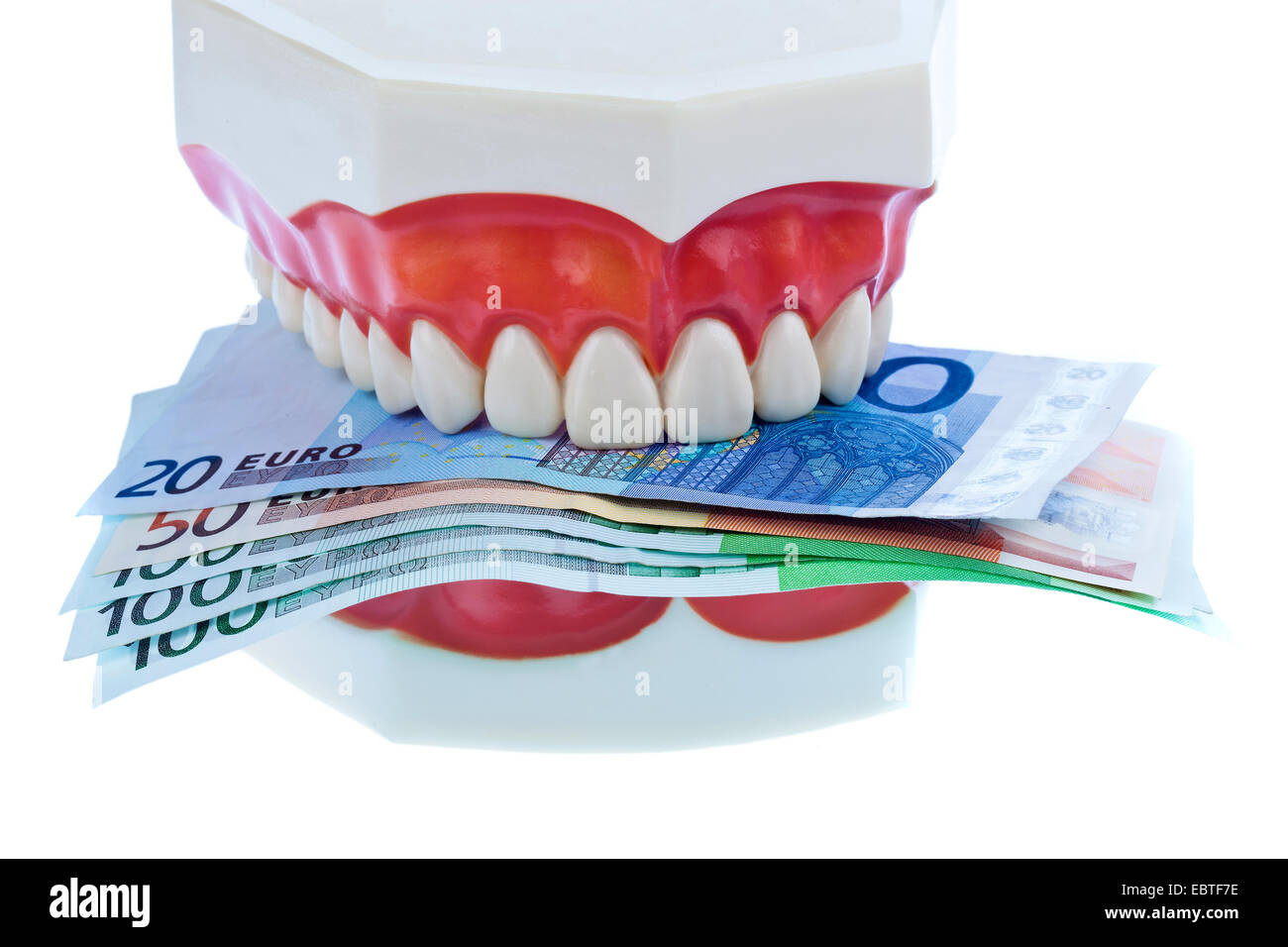 model of a natural dentition holding Euro bills between the teeth symbolising the costs in the dental haelth sector Stock Photo