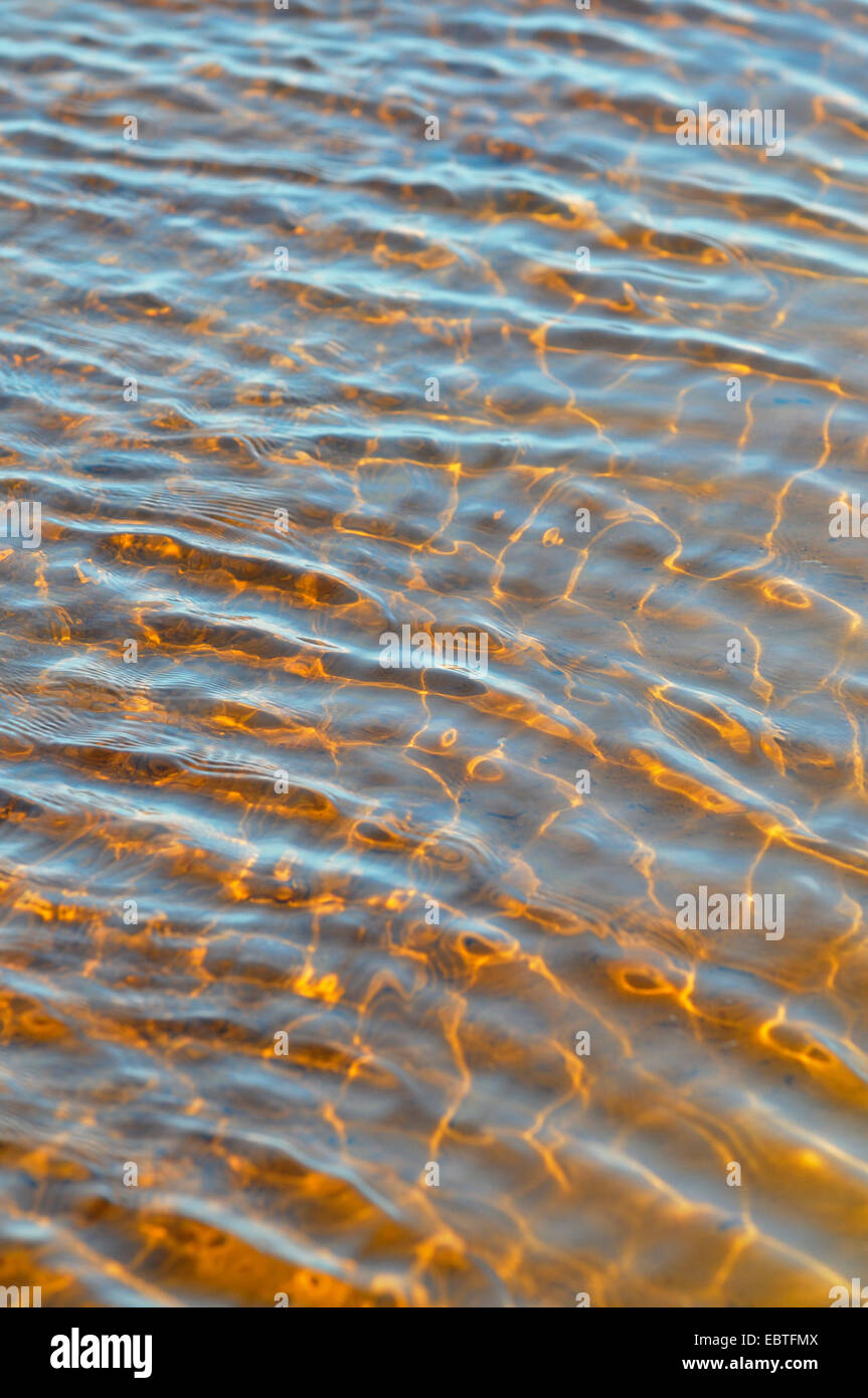 amber-coloured shallow water with slight waves at the sand beach, Germany, Mecklenburg-Western Pomerania Stock Photo
