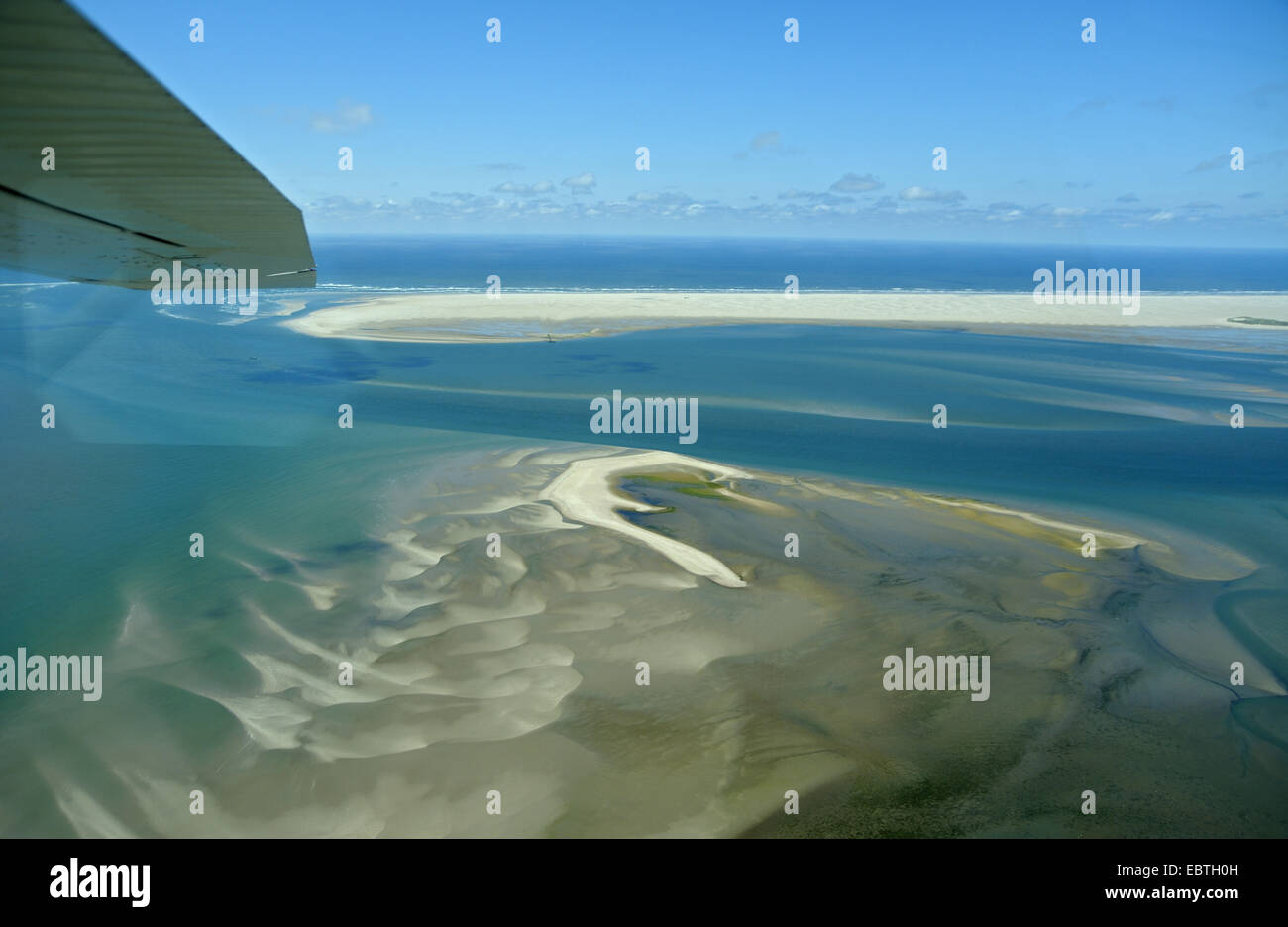 view out of a plane on a sand bank at the north of the island, colony of common and gray seals, Netherlands, Texel Stock Photo