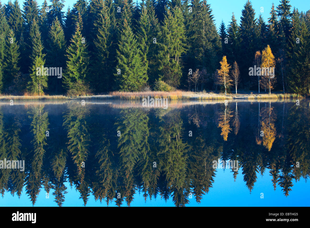 Etang de la GruÞre moor lake, Switzerland, Saignelegier Stock Photo
