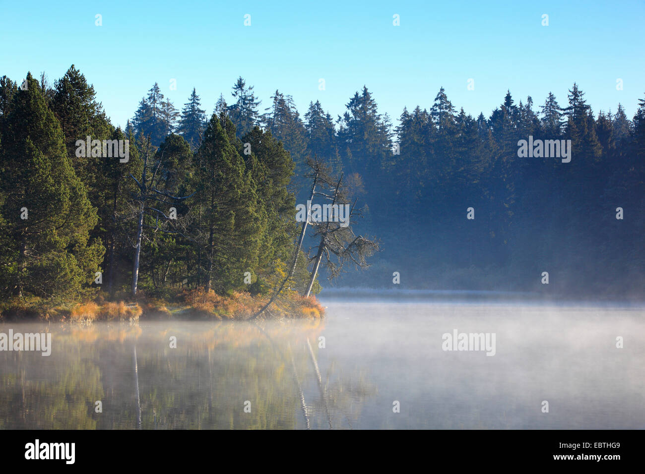 Etang de la GruÞre moor lake, Switzerland, Saignelegier Stock Photo