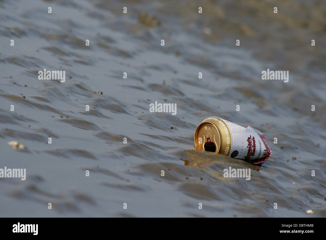 trashed tin can in wadden sea, Germany, Lower Saxony, Lower Saxony Wadden Sea National Park, Schillig Stock Photo