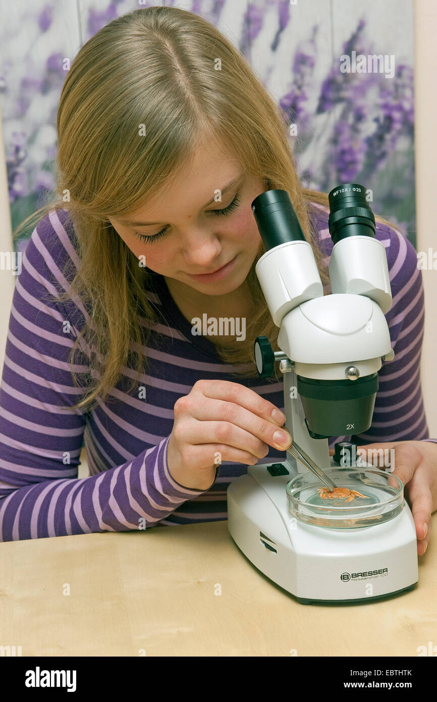 girl looking at crab with binocular Stock Photo