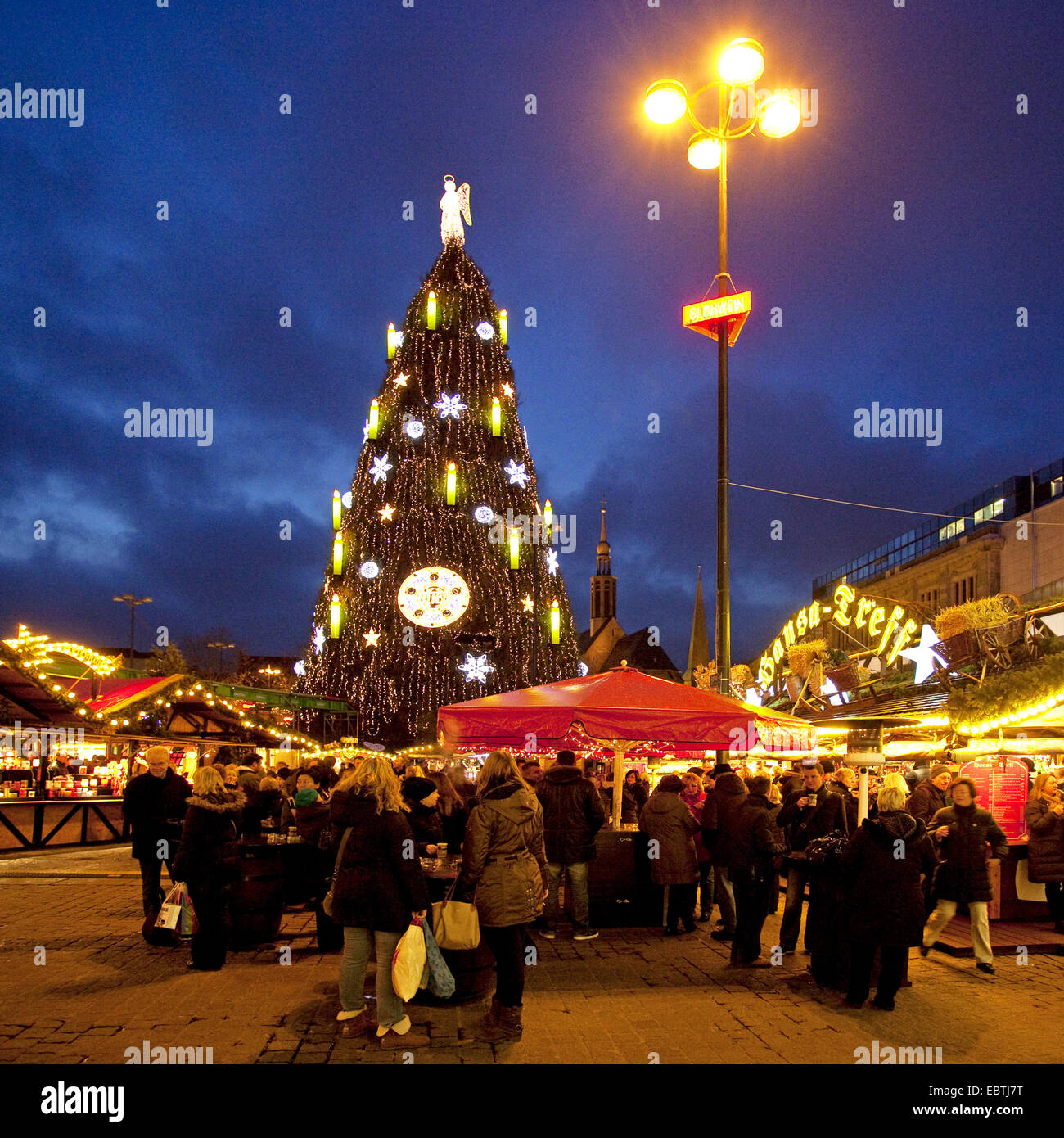 Christmas Tree In Germany 