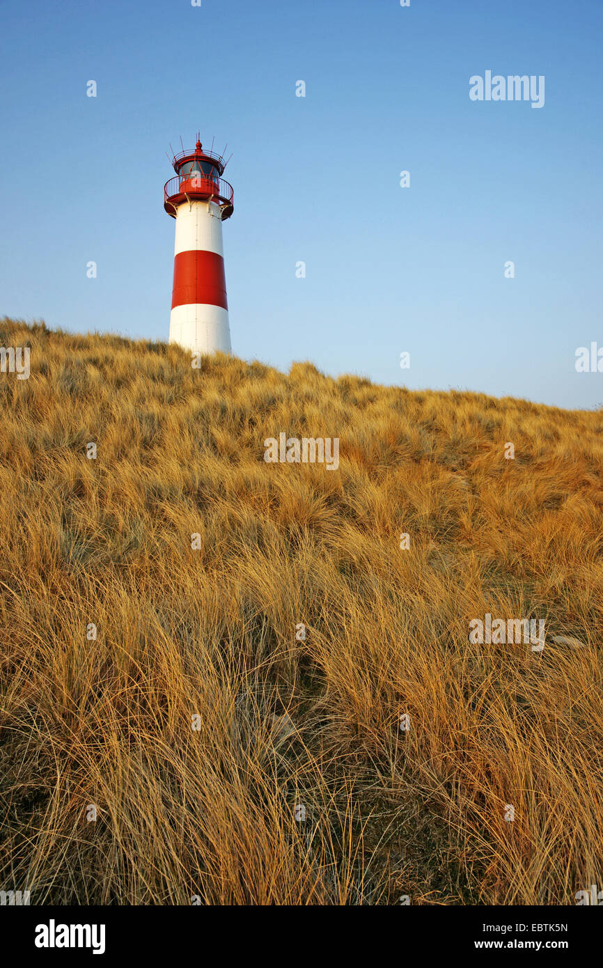 lighthouse List East in evening light, Germany, Schleswig-Holstein, Sylt, List Stock Photo