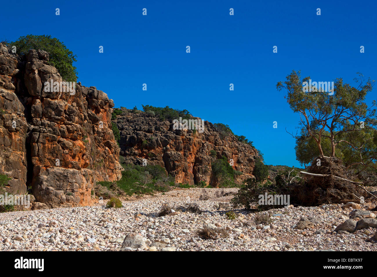 Mandu mandu in Cape Range National Park, Australia, Western Australia, Cape Range National Mandu mandu in Cape Range National Park, Australia, Western Australia, Cape Range National