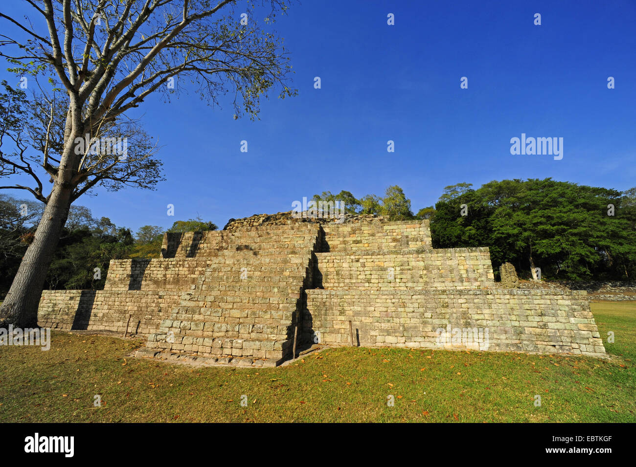Mayan temple in  Copan, Honduras, Copan, Copan Stock Photo