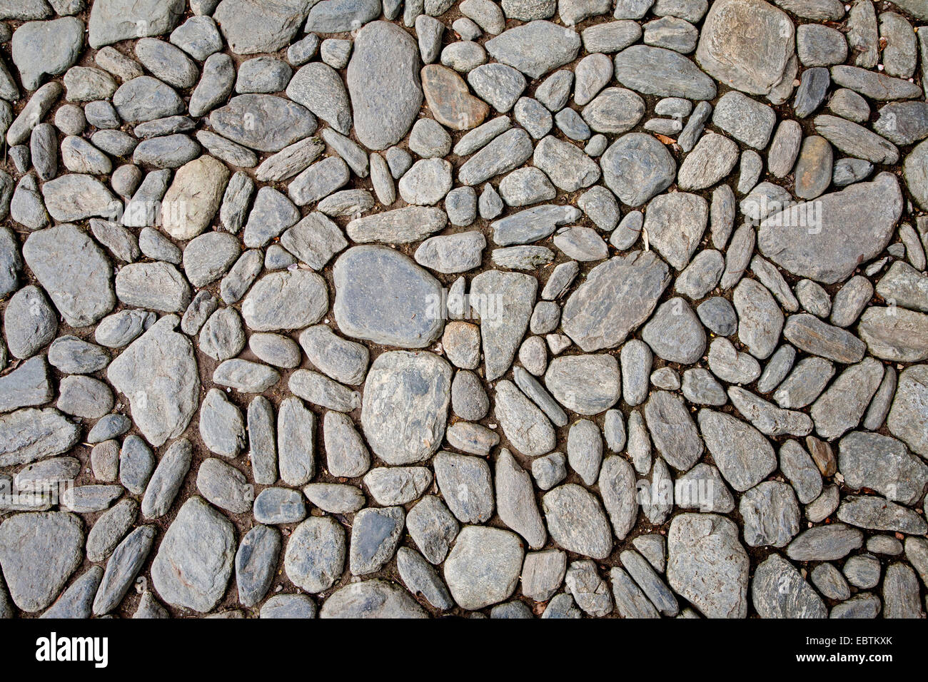 quarry tile, Germany Stock Photo