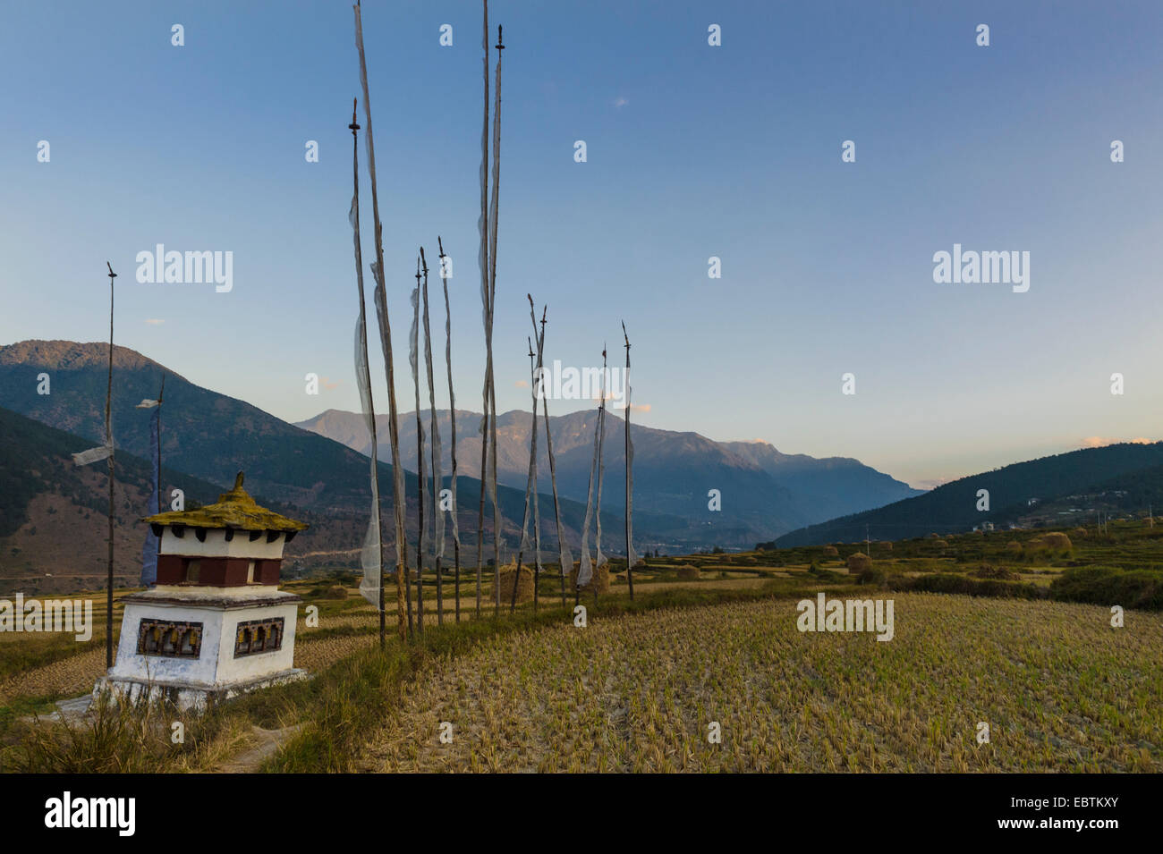 Stupa and pray flags in Rice Fields on the way to Chhimi monastery ...