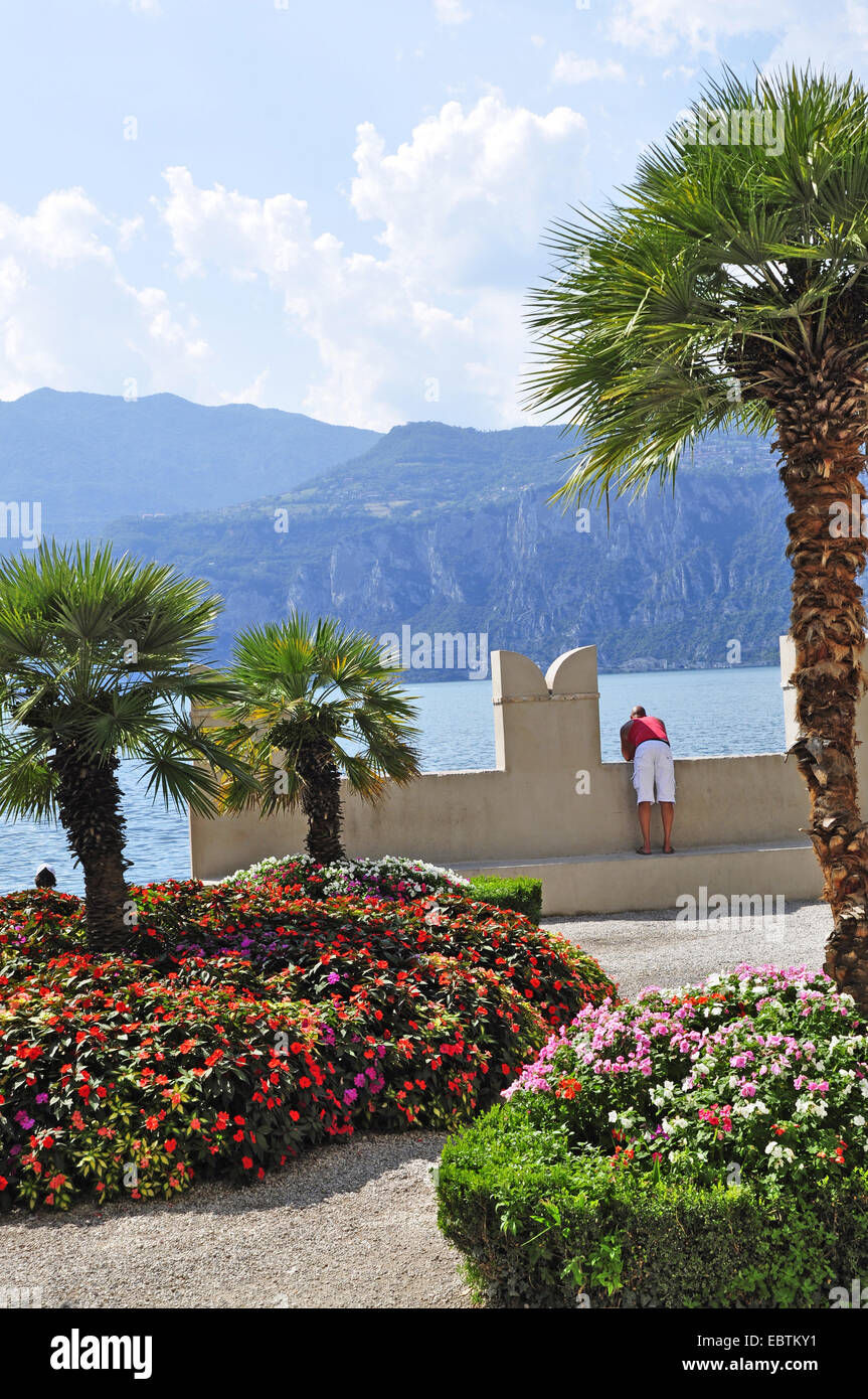 park on the lakefront, Italy, Lake Garda, Lombardy, Malcesine Stock