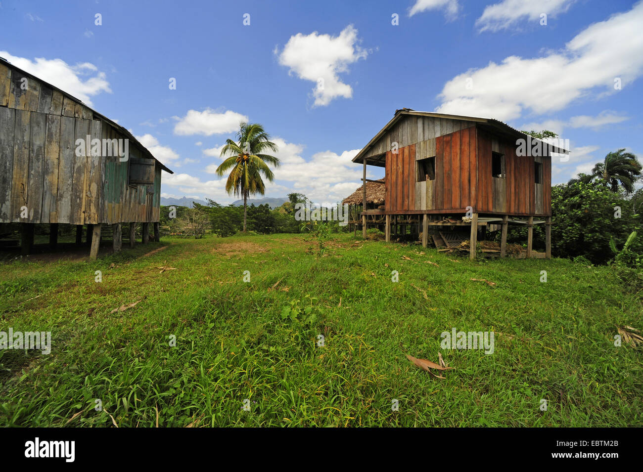 two little houses wooden standing in a meadow, Honduras, La Mosquitia, Las Marias Stock Photo