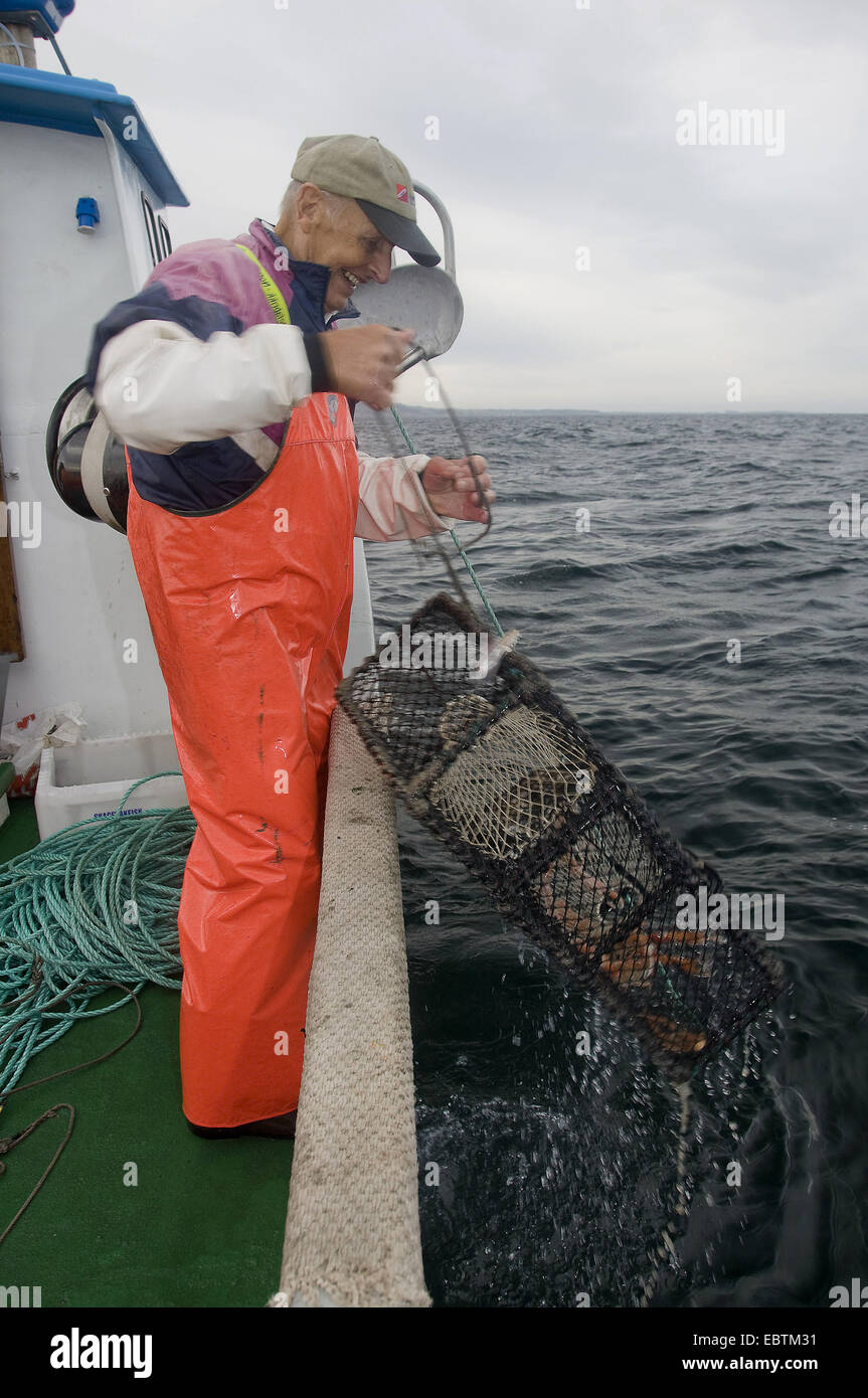 fisherman on trawler pulling a lobster trap out of the water , Norway Stock Photo