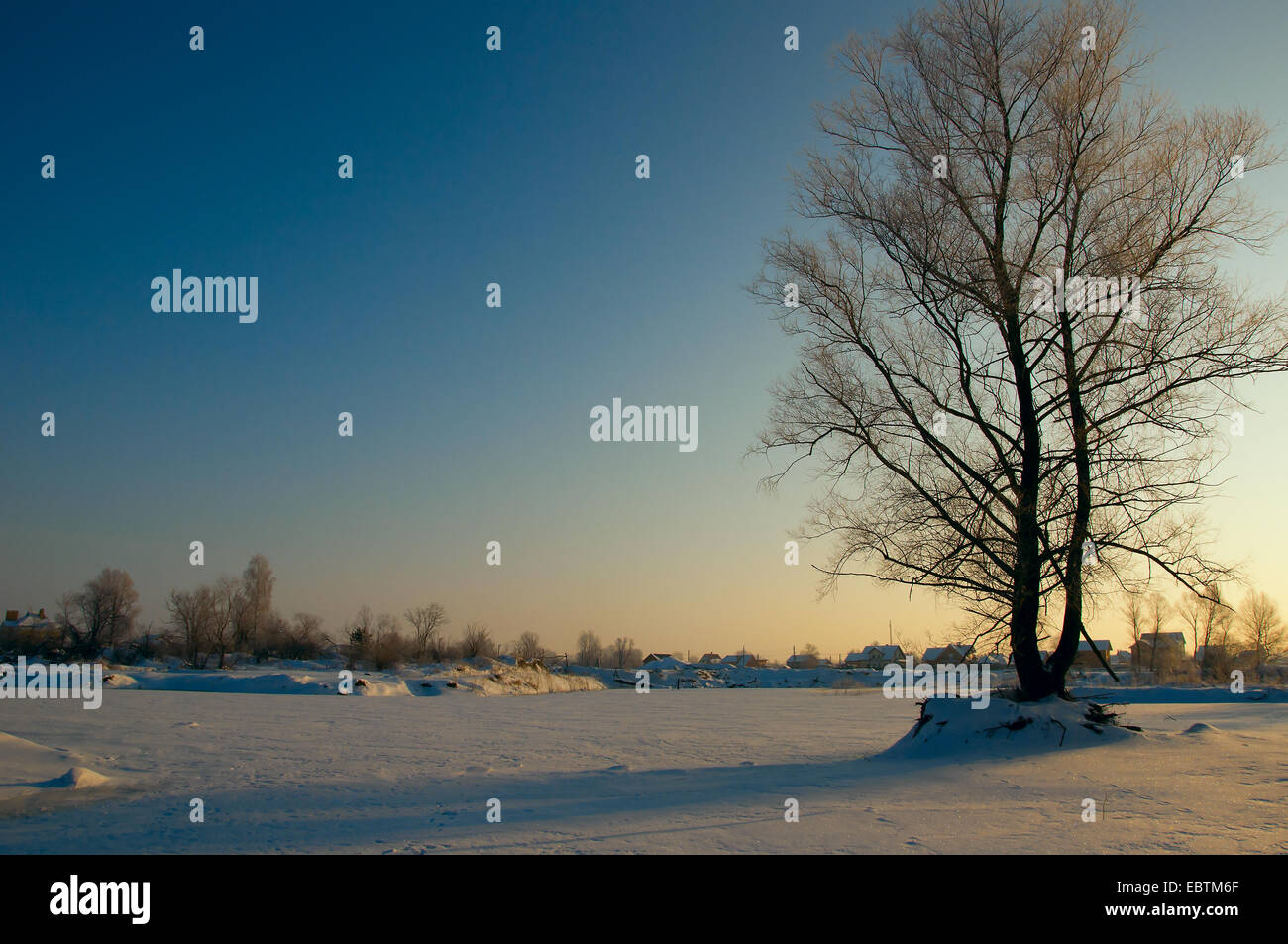 Beautiful winter landscape with snow covered tree Stock Photo - Alamy