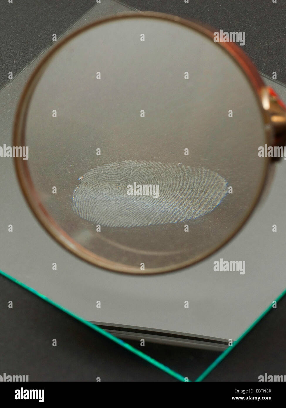 taking fingerprints. Step 5: fixed fingerprint investigated with a lense Stock Photo