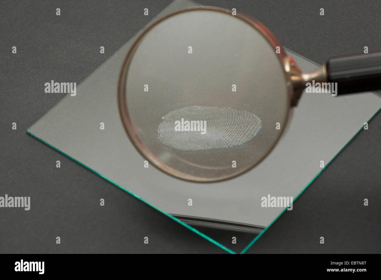 taking fingerprints. Step 5: fixed fingerprint investigated with a lense Stock Photo