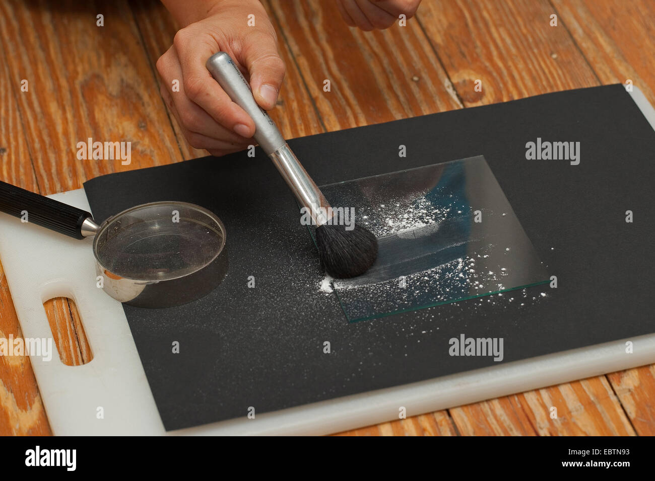 taking fingerprints. Step 3: powder is removed with a brush, finger-print becomes visible Stock Photo