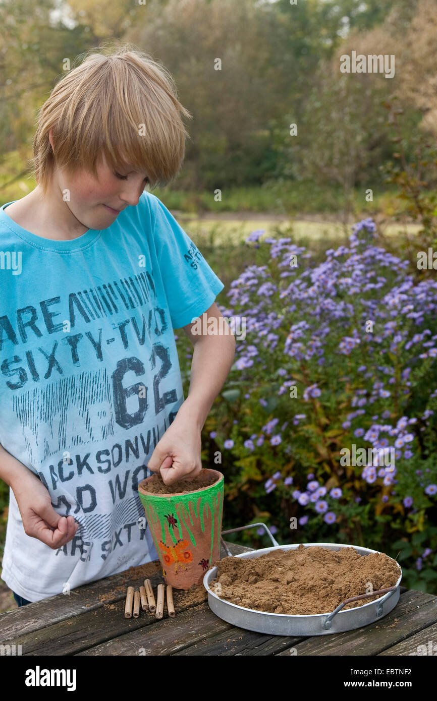 boy building an insect breeding , Germany Stock Photo