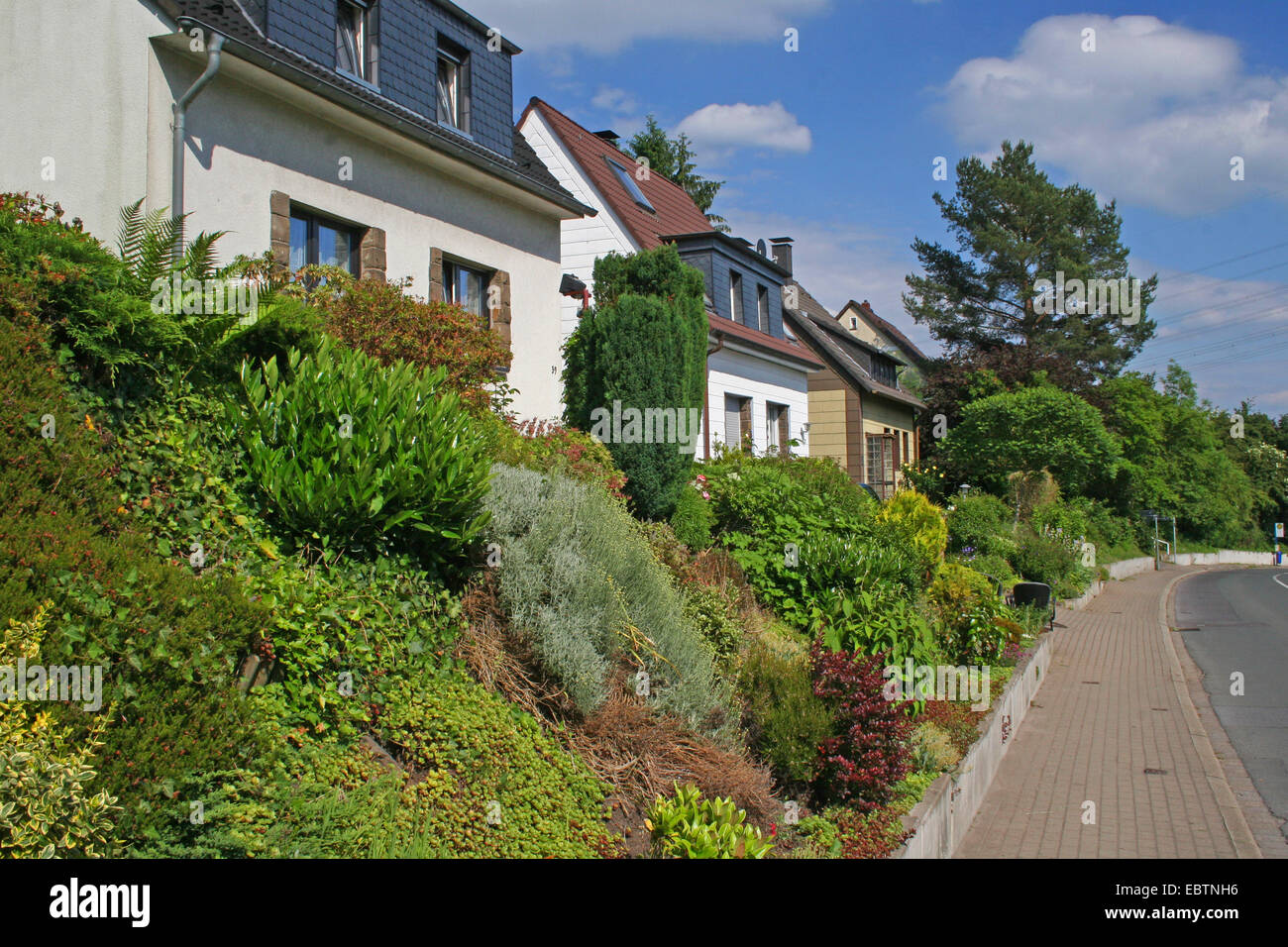 one family houses and front yards, Germany, North Rhine-Westphalia Stock Photo