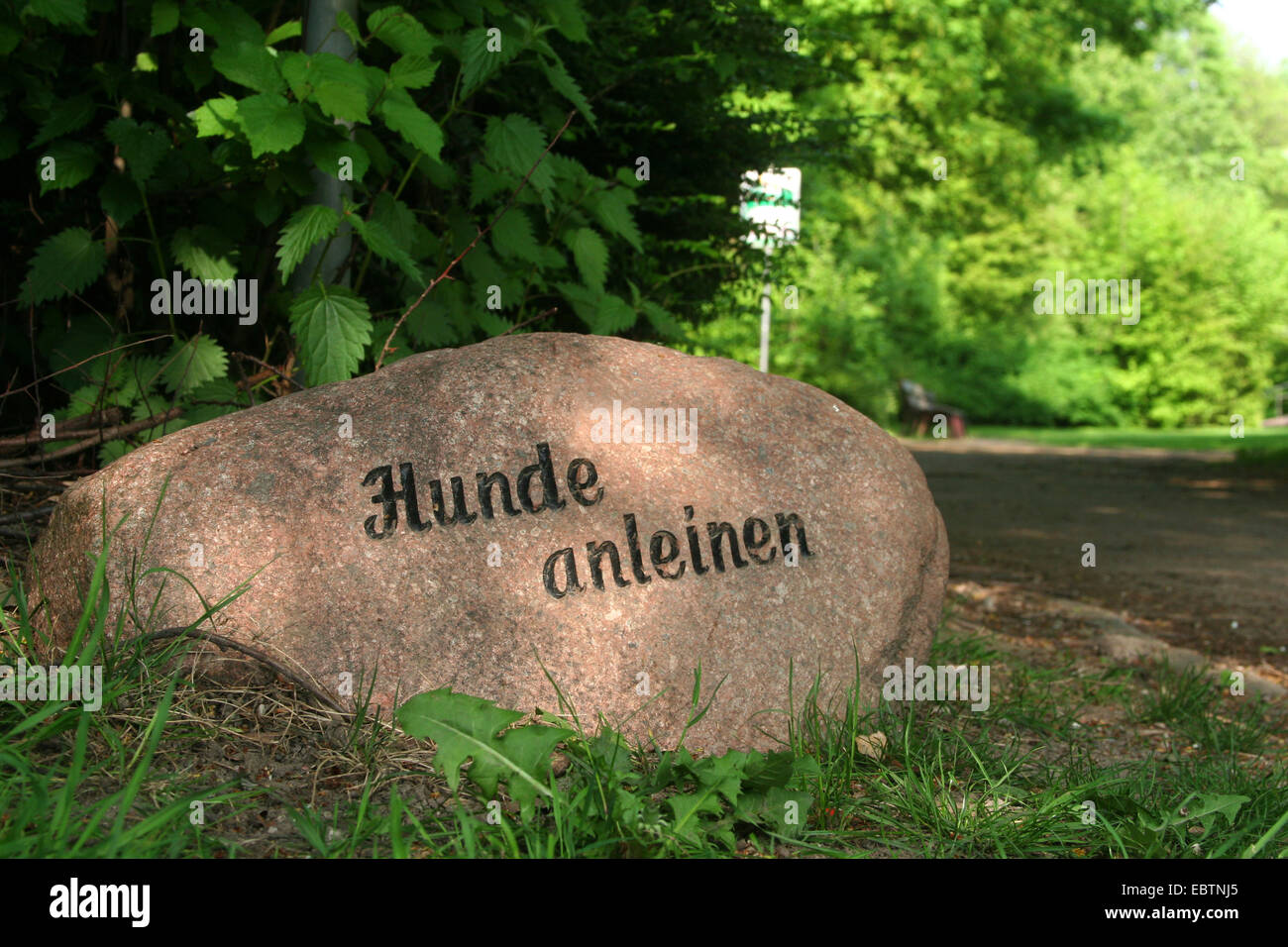 'leash your dog'  carved in a stone waysides, Germany, North Rhine-Westphalia Stock Photo
