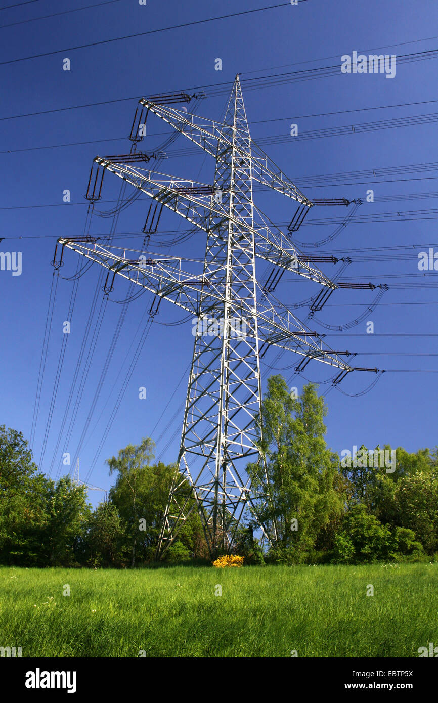 power pole, Germany, North Rhine-Westphalia Stock Photo