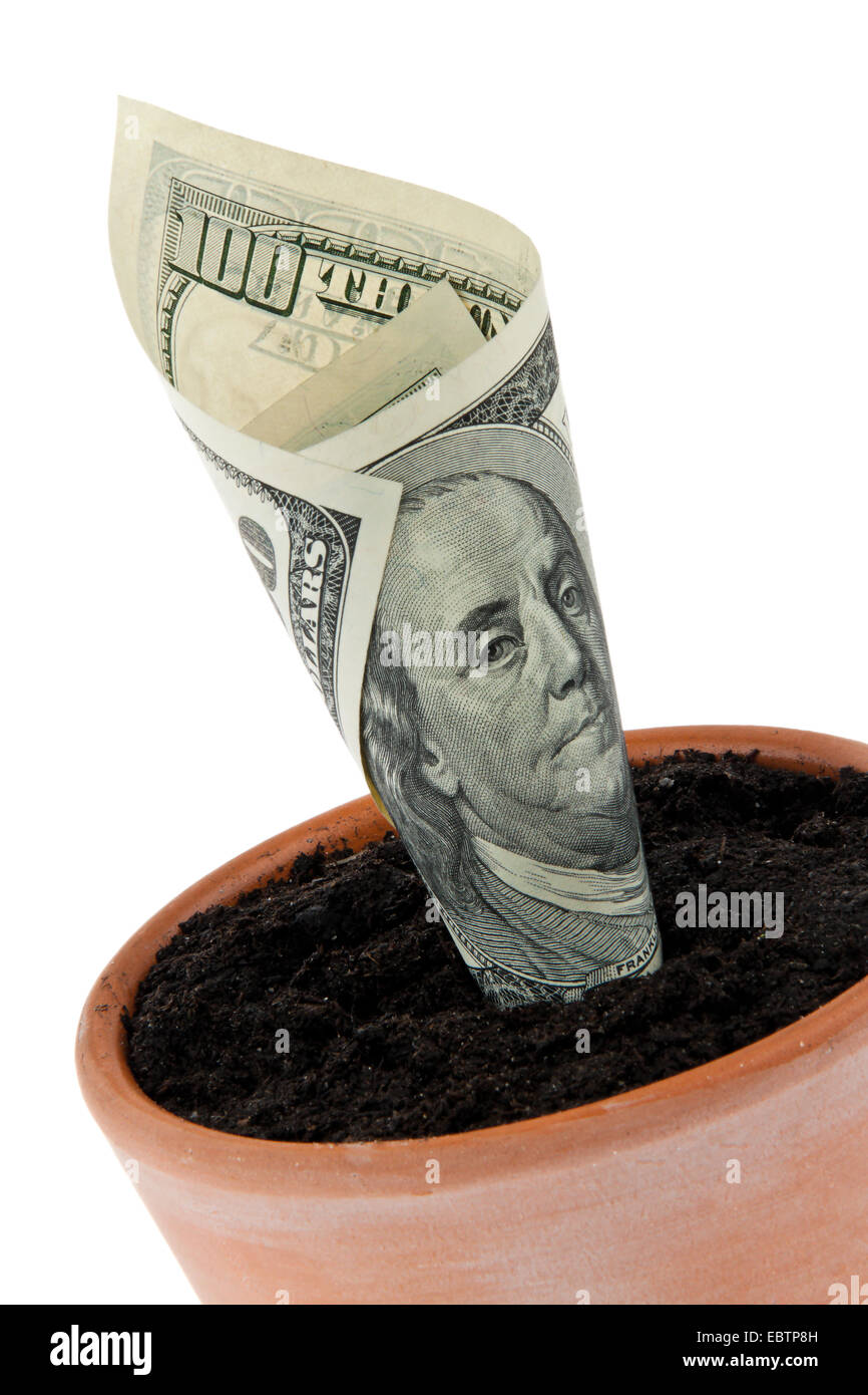 Dollar bill in flower pot Stock Photo