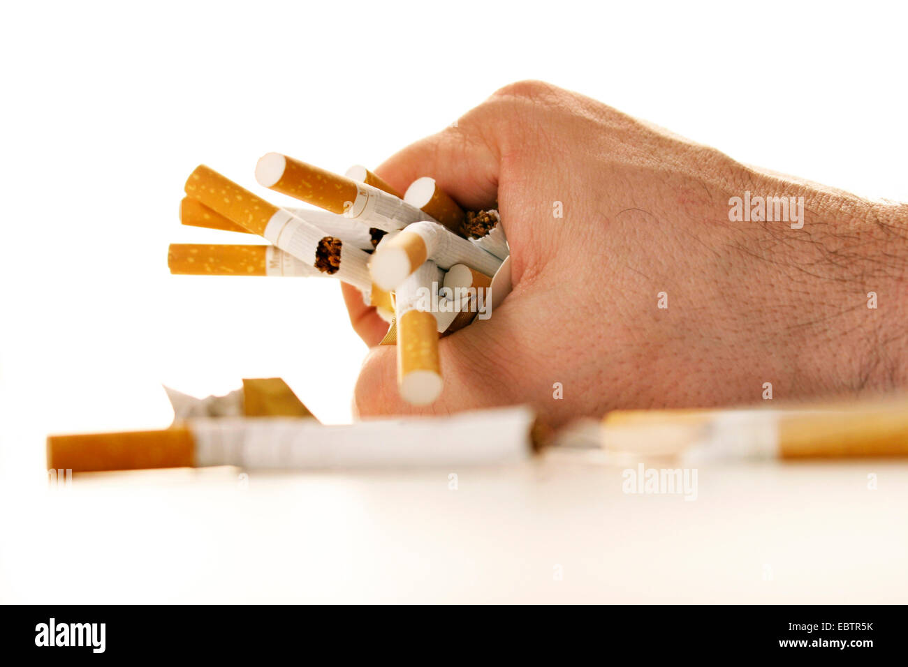 a man's hand with crumpled-up cigarettes Stock Photo