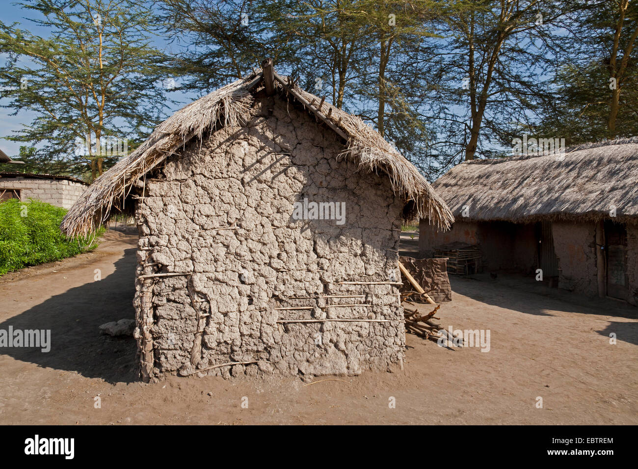 typical tanzanian hut, Tanzania, Mto wa Mbu Stock Photo