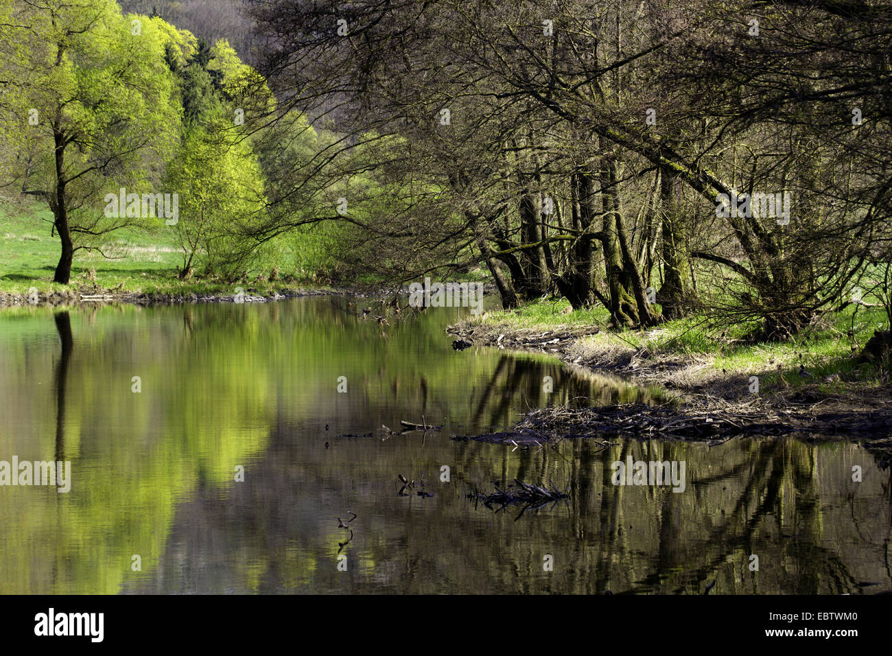 pictoresque river landscape in the valley of the Weisse Elster, Germany, Saxony, Vogtland Stock Photo
