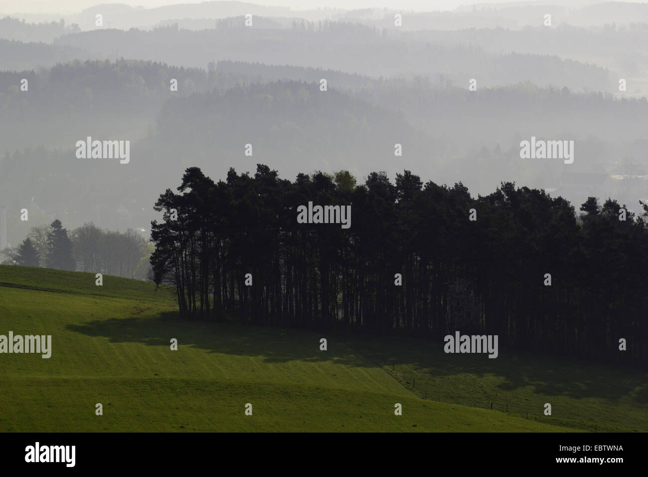 clearing morning mist over hilly landscape with forests and meadows, Germany, Saxony, Vogtland Stock Photo