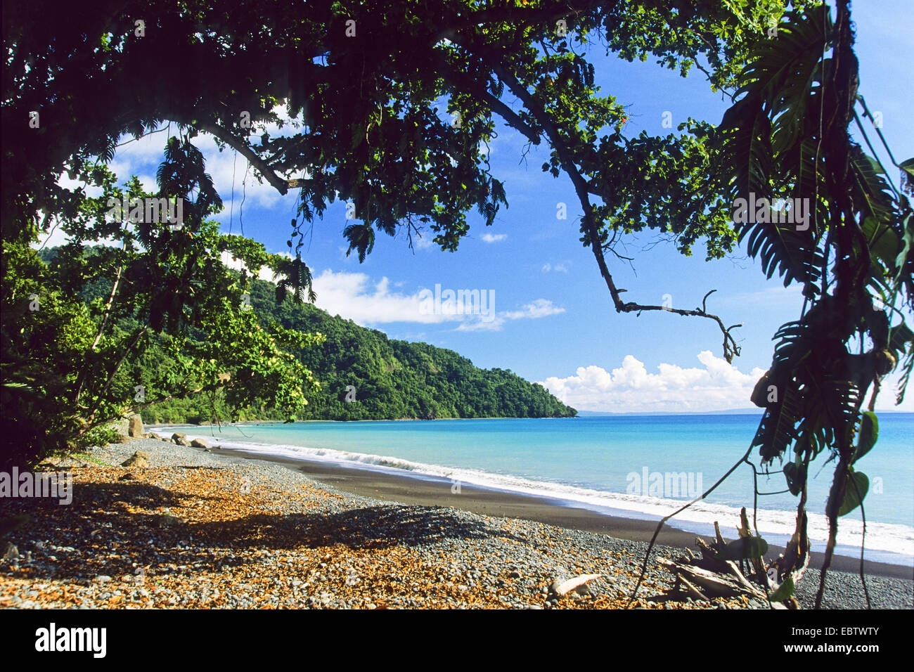 Coast with tropical mountain rainforest, Arfak Mountains, Indonesia, Western New Guinea Stock Photo