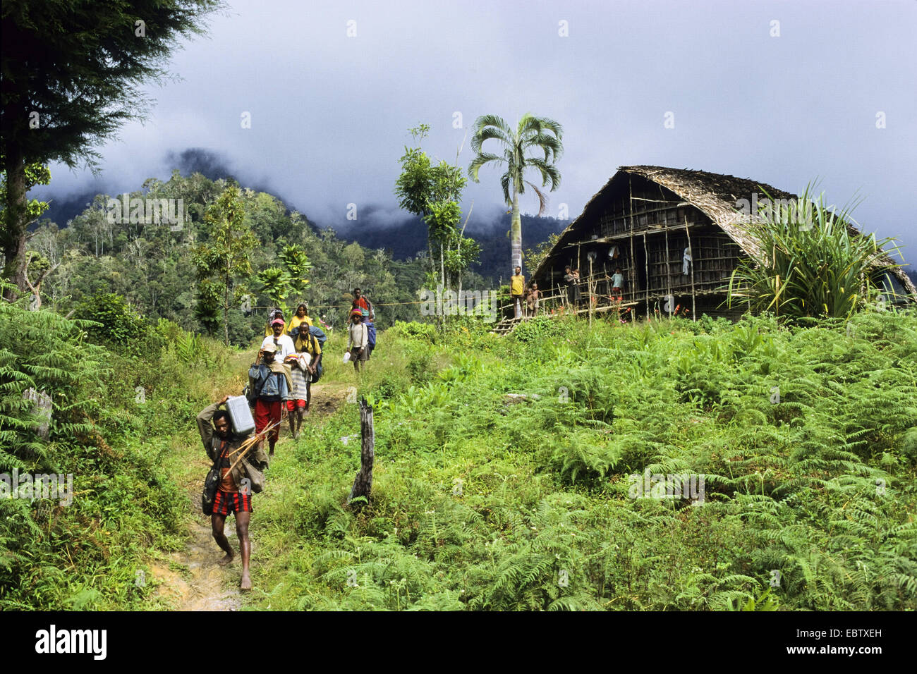 Expedition to the Arfak Mountains, Indonesia, New Guinea, West Papua Stock Photo