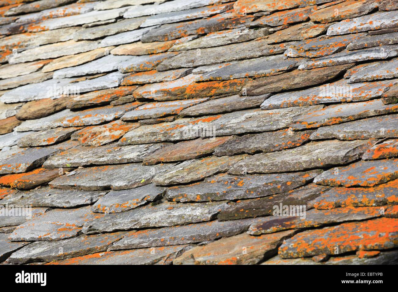 flagstone roof, Switzerland Stock Photo
