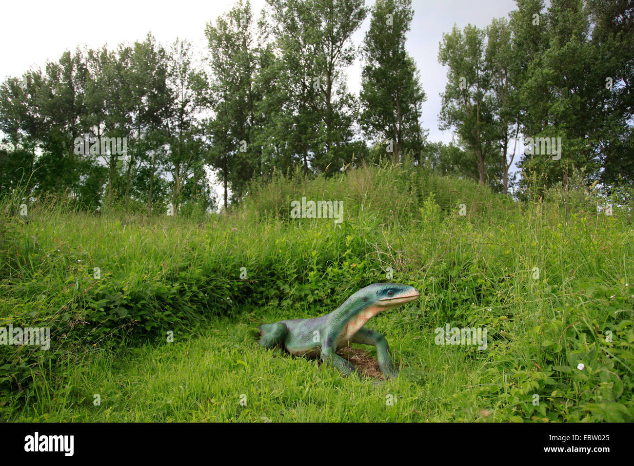 early reptile (Protorosaurus), ancestor of the Dinosaurs Stock Photo