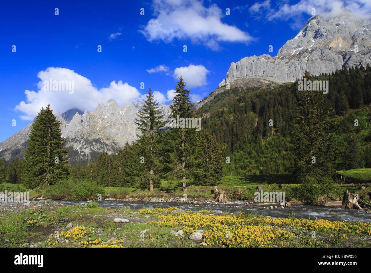view from a valley with a brook at the mountain range 'Engelhoerner', Switzerland, Bernese Oberland Stock Photo