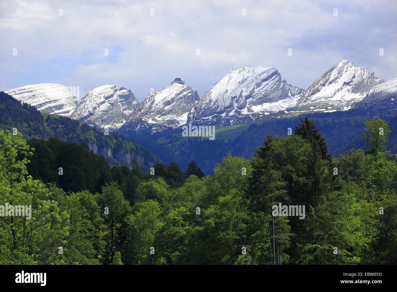 the mountain range Churfirsten in the Appenzell Alps, Switzerland, St. Gallen, Toggenburg Stock Photo