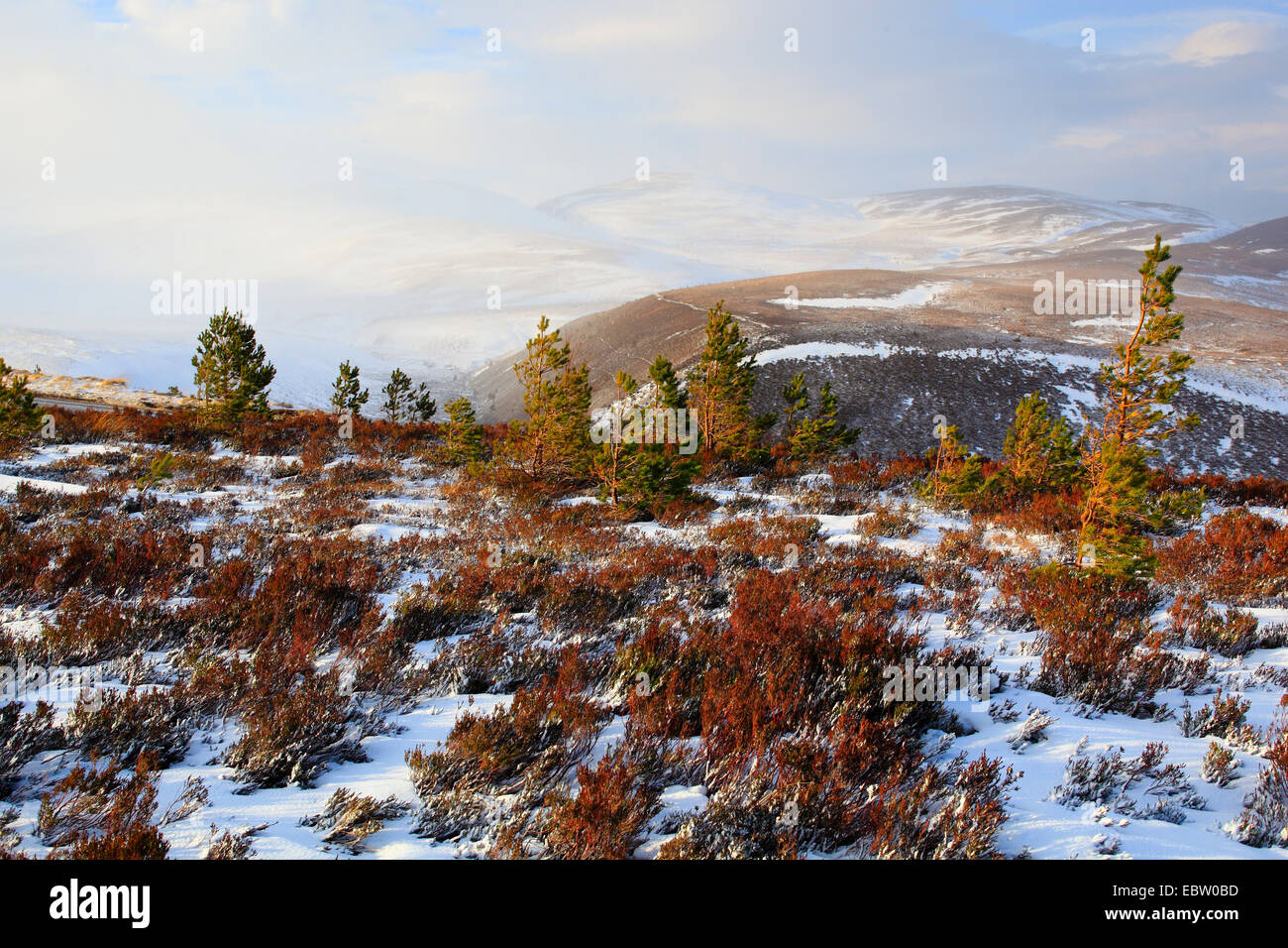 Cairgorm mountain range scenery, United Kingdom, Scotland, Cairngorms National Park Stock Photo