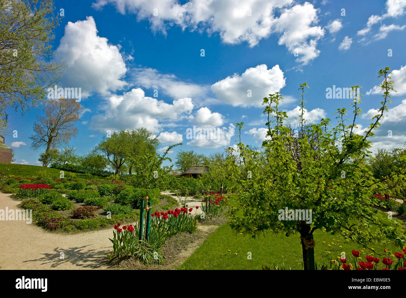 garden of Emil Nolde, Germany, Schleswig-Holstein, Northern Frisia, Seebuell Stock Photo
