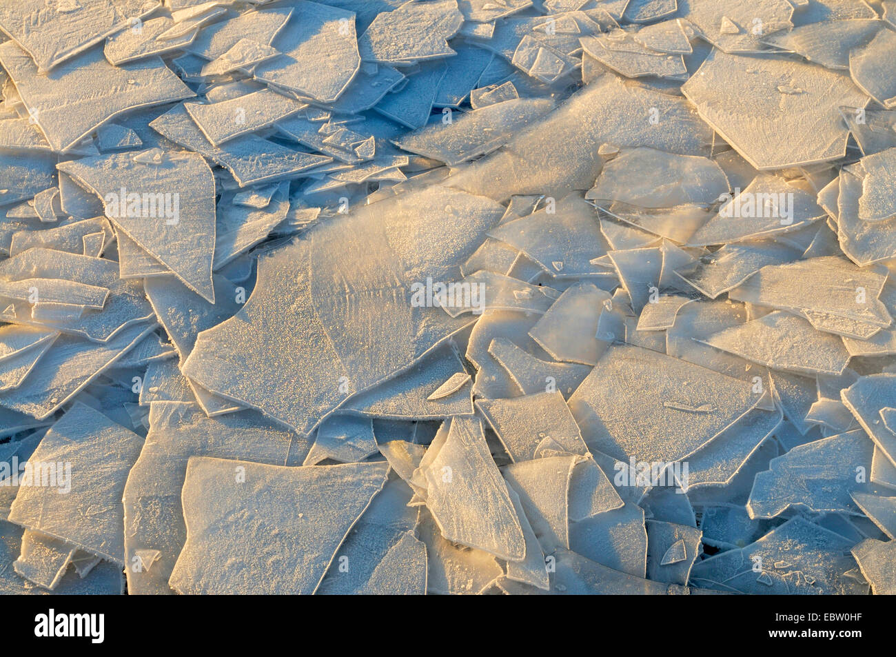 ice floes on a lake in morning light, Germany, North Rhine-Westphalia Stock Photo