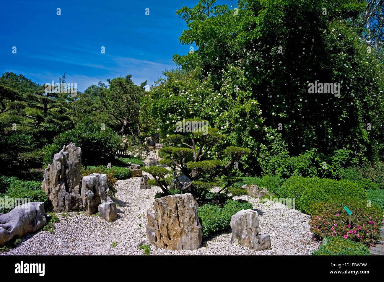 Arboretum of Ellerhoop, Germany, Schleswig-Holstein, Pinneberg, Ellerhoop Stock Photo