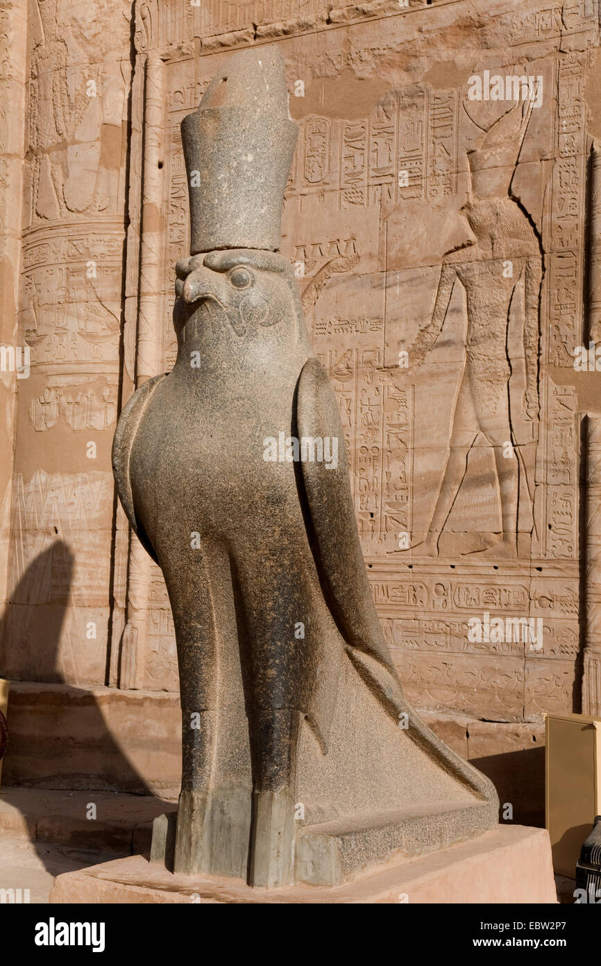 statue of Horus in the Temple of Edfu, Egypt, Edfu Stock Photo