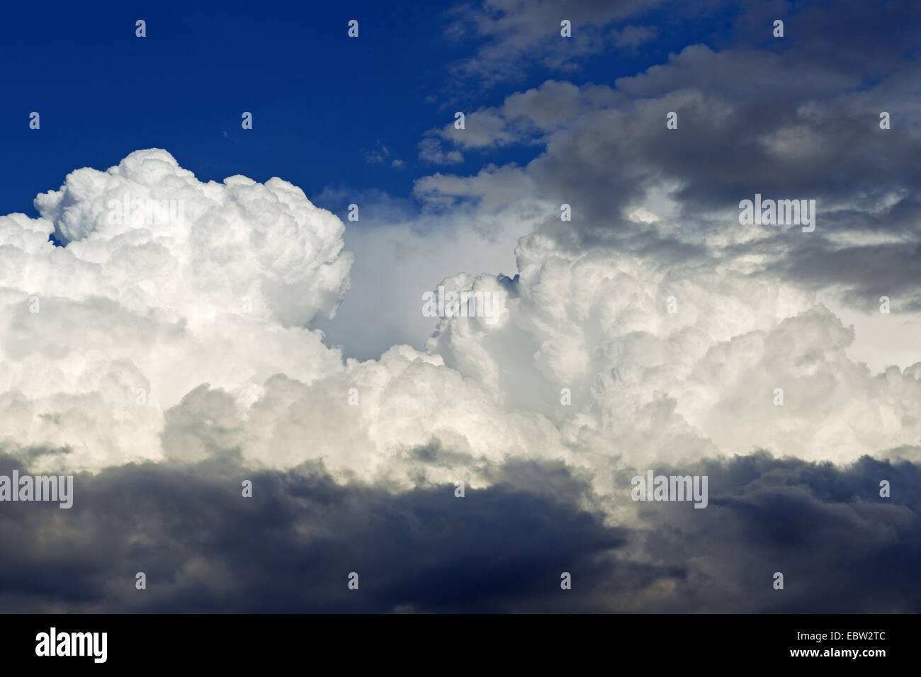 cumulus clouds, Germany, Baden-Wuerttemberg Stock Photo