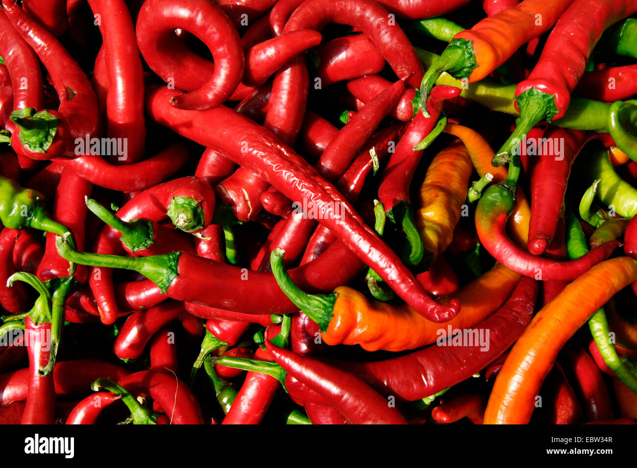 red chili pepper Stock Photo Alamy