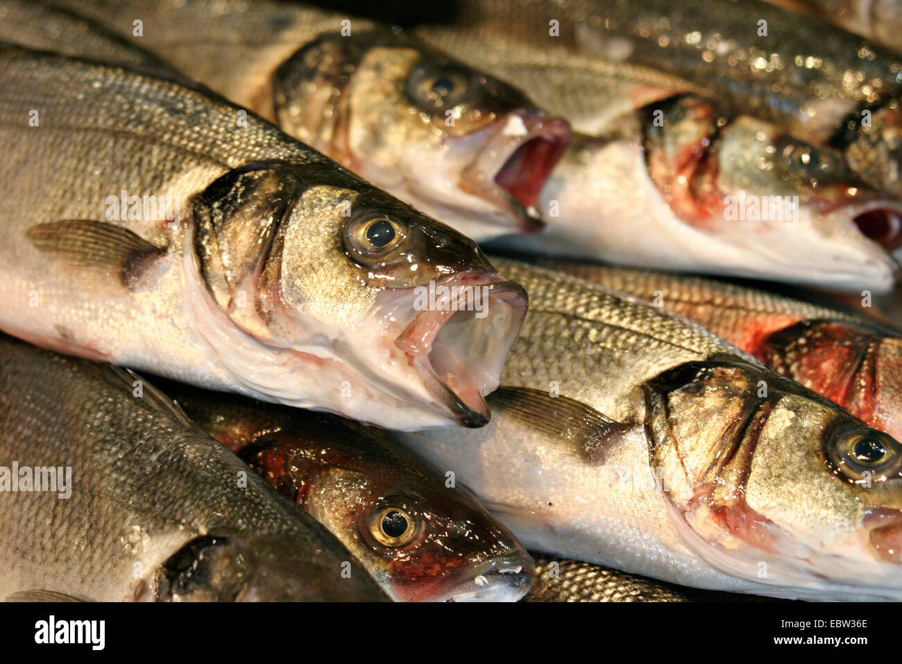 frsh fish on a fish market, Germany Stock Photo