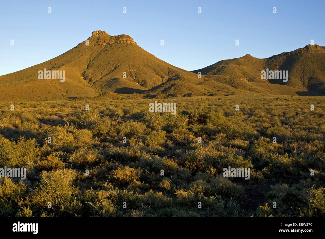 landscape in Karoo National park, South Africa, Western Cape, Karoo National Park Stock Photo