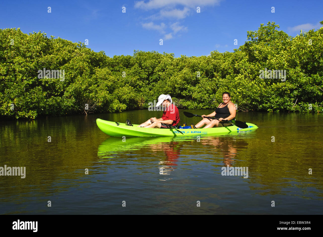 Kayaking the mangroves in Lac Bay, Bonaire Stock Photo