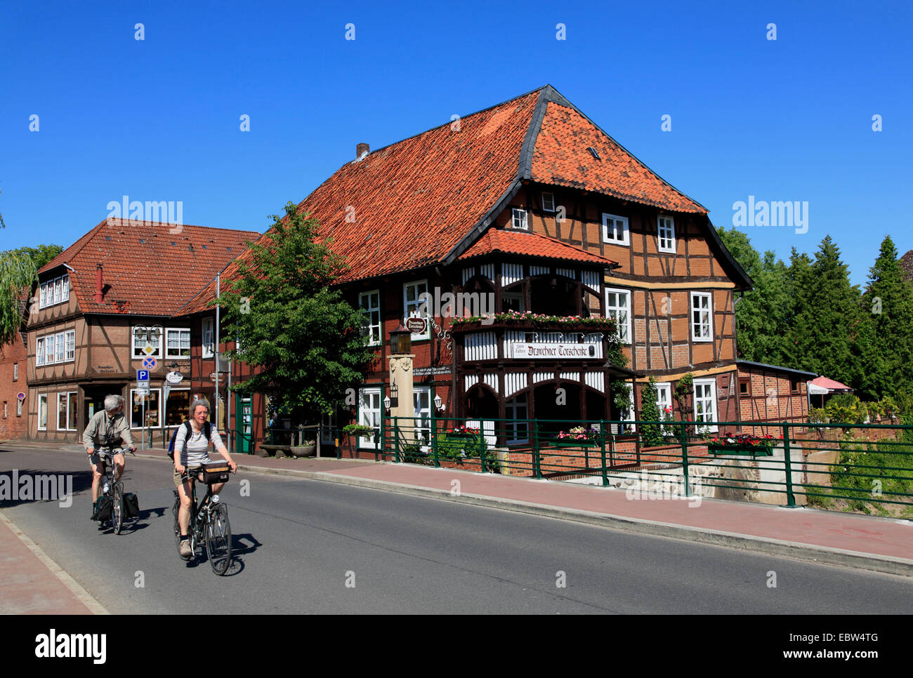 Cyclists at Elbe river cycle route, Hitzacker / Elbe, Wendland, Lower Saxony, Germany, Europe Stock Photo